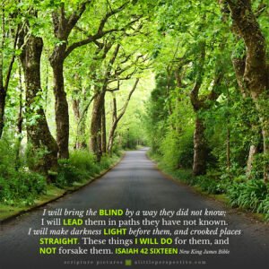 Isa 42:16 | Scripture Pictures @ alittleperspective.com