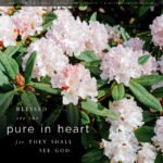 Mat 5:8 | Scripture Pictures @ alittleperspective.com