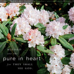 Mat 5:8 | Scripture Pictures @ alittleperspective.com
