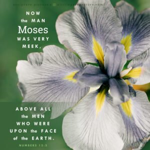 Num 12:3 | Scripture Pictures @ alittleperspective.com