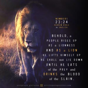 Num 23:24 | Scripture Pictures @ alittleperspective.com