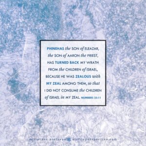 Num 25:11 | Scripture Pictures @ alittleperspective.com