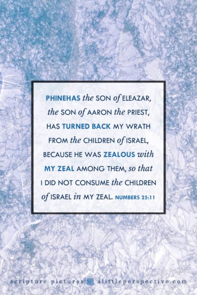 Num 25:11 | Scripture Pictures @ alittleperspective.com