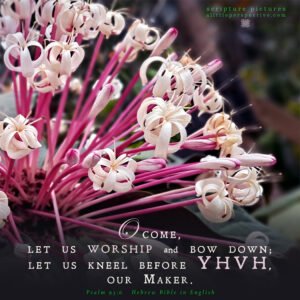 Psa 95:6 | Scripture Pictures @ alittleperspective.com