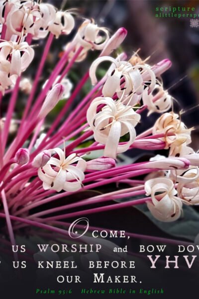 Psa 95:6 | Scripture Pictures @ alittleperspective.com