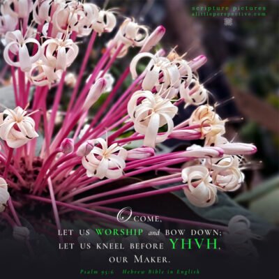 Psa 96:5 | Scripture Pictures @ alittleperspective.com