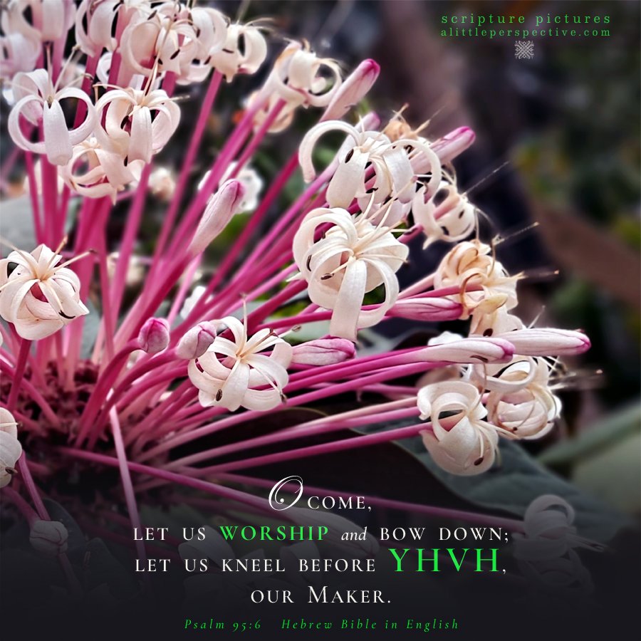 Psa 96:5 | Scripture Pictures @ alittleperspective.com