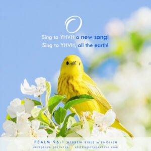 Psa 96:1 | Scripture Pictures @ alittleperspective.com