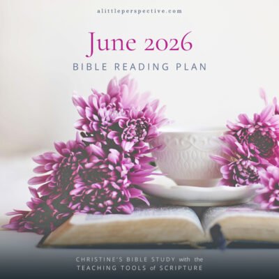 June 2026 Bible Reading Plan | Christine's Bile Study @ alittleperspective.com