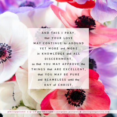May 27 Bible Reading