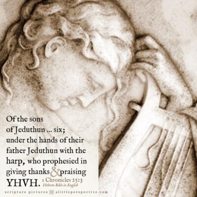 June 25 Bible Reading
