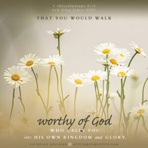 1 The 2:12 | Scripture Pictures @ alittleperspective.com