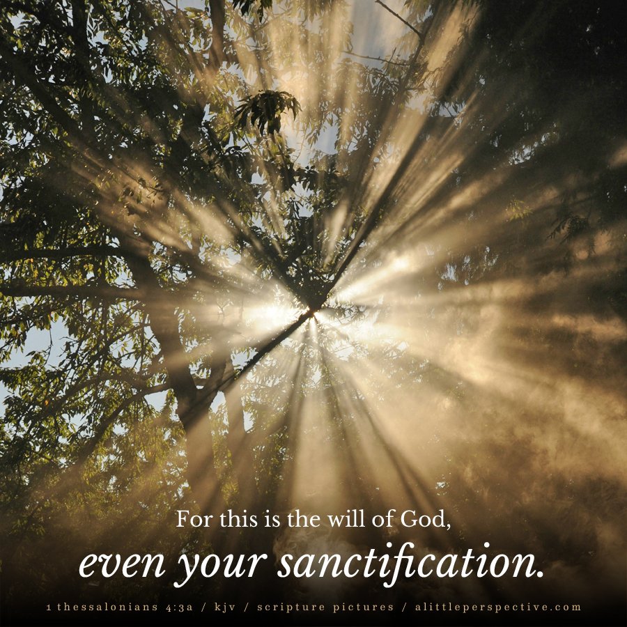 1 The 4:3a | Scripture Pictures @ alittleperspective.com