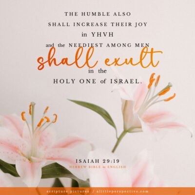 Isa 29:19 | Scripture Pictures @ alittleperspective.com