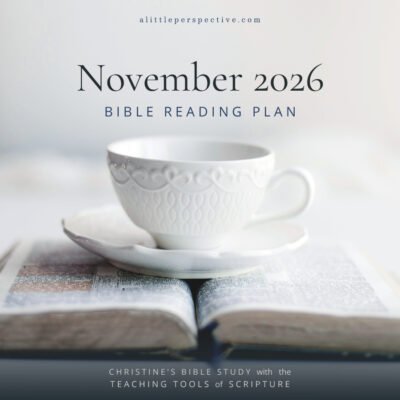 November 2026 Bible Reading Plan | Christine's Bible Study @ alittleperspective.com