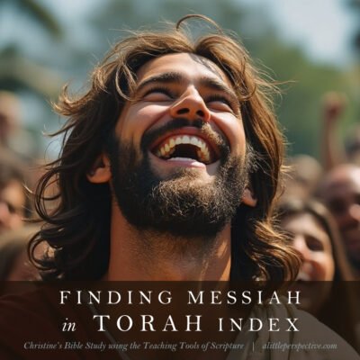 Finding Messiah in Torah Index of Studies | Christine's Bible Study @ alittleperspective.com