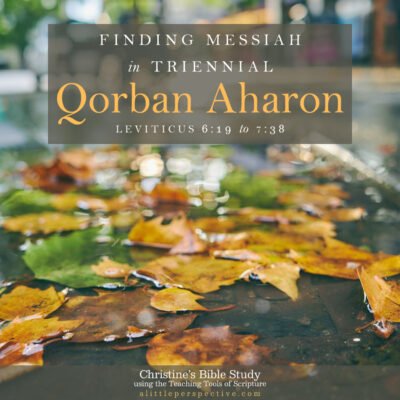 Finding Messiah in Leviticus 6:19-7:38, Triennial Qorban Aharon | Christine's Bible Study @ alittleperspective.com
