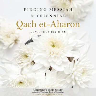 Finding Messiah in Leviticus 8:1-36, Triennial Qach et-Aharon | Christine's Bible Study @ alittleperspective.com