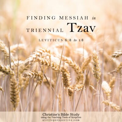 Finding Messiah in Leviticus 6:8-18, Triennial Tzav