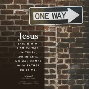 Joh 14:6 | Scripture Pictures @ alittleperspective.com